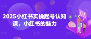 2025小红书实操起号认知课，小红书的魅力-瀚宇网创