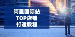 阿里国际站TOP店铺打造教程：涵盖平台到高阶，解决运营难题，提升询盘-瀚宇网创