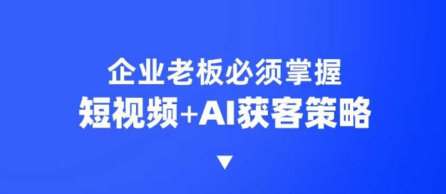 企业短视频AI获客霸屏流量课，6步短视频+AI突围法，3大霸屏抢客策略-瀚宇网创