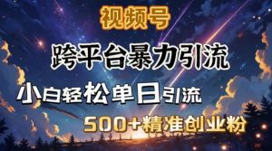 跨平台暴力引流，私域完美闭环，日引500+精准创业粉-瀚宇网创