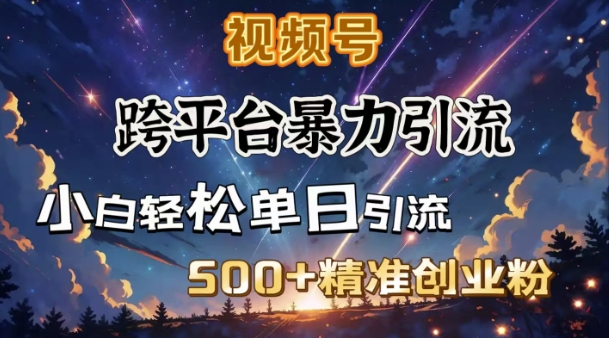 跨平台暴力引流,私域完美闭环,日引500+精准创业粉-瀚宇网创