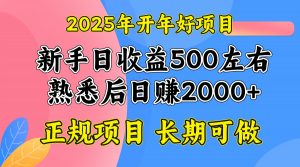 2025开年好项目,单号日收益2000左右-瀚宇网创