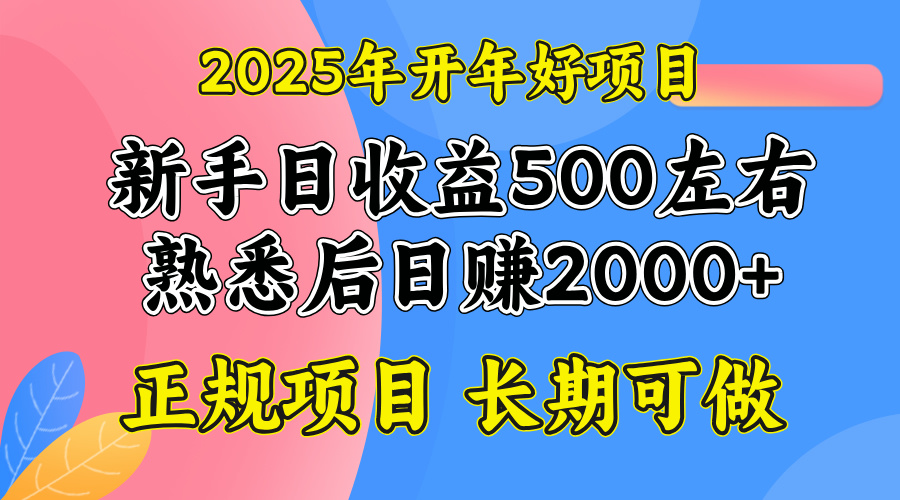 2025开年好项目,单号日收益2000左右-瀚宇网创