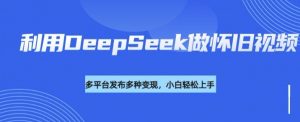 利用DeepSeek做怀旧视频，流量号多渠道变现能力强-瀚宇网创