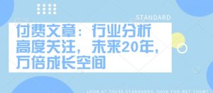 付费文章:行业分析 高度关注,未来20年,万倍成长空间-瀚宇网创