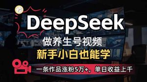小白用DeepSeek做养生号，一条作品涨粉5万+，单日收益上千-瀚宇网创