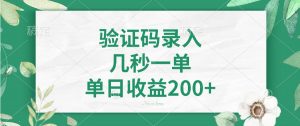 验证码录入，几秒一单，单日收益200+-瀚宇网创