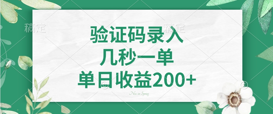 验证码录入，几秒一单，单日收益200+-瀚宇网创