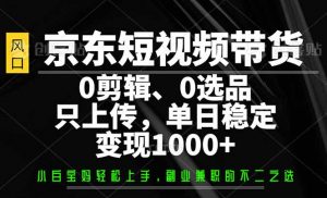 京东短视频带货,0剪辑,0选品,只需上传素材,单日稳定变现1000+-瀚宇网创
