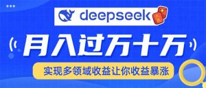 用DeepSeek席卷各大平台,快速上手实现多领域,让你收入猛增-瀚宇网创