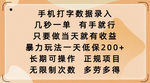 手机打字数据录入,几秒一单,有手就行,只要做当天就有收益,暴力玩法一天低保2张-瀚宇网创