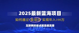 2025最新蓝海项目，零门槛轻松复制，月入10万+，新手也能操作！-瀚宇网创