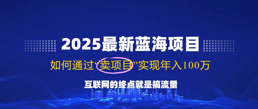 2025最新蓝海项目，零门槛轻松复制，月入10万+，新手也能操作！-瀚宇网创