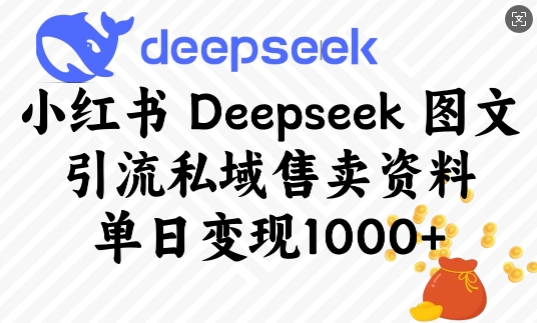 小红书Deepseek图文引流私域售卖资料,单日变现多张-瀚宇网创