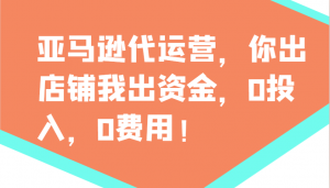亚马逊代运营，你出店铺我出资金，0投入，0费用，无责任每天300分红，赢亏我承担-瀚宇网创
