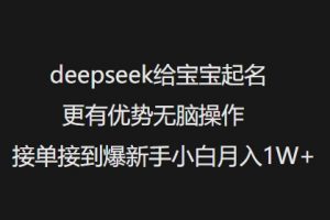 deepseek给宝宝起名更有优势无脑操作接单接到爆新手小白月入1W+-瀚宇网创