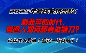 2025年最强变现思路，割韭菜的时代， 普通人如何翻身做镰刀？【揭秘】-瀚宇网创
