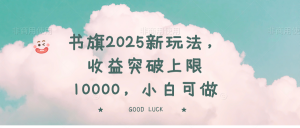 书旗2025新玩法，收益突破上限10000，小白可做-瀚宇网创