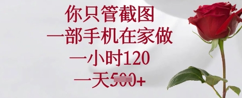 你只管截图,一部手机在家做,一小时120.一天5张【揭秘】-瀚宇网创