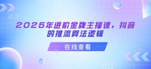 2025年进阶金牌主播课，抖音的推流算法逻辑-瀚宇网创