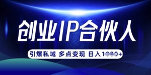 云帆·创业ip合伙人打造3.0,从0到1教你做网创,实现月入过W-瀚宇网创