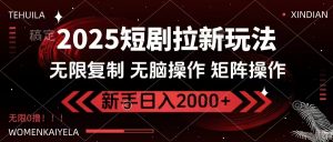 2025短剧拉新玩法，无需注册登录，无限0撸，无脑批量操作日入2000+-瀚宇网创