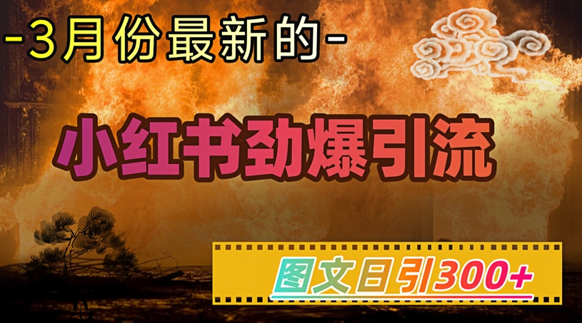 小红书超劲爆引流手段，图文日引300+轻松变现1W-瀚宇网创