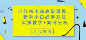小红书电商高级课程，新手小白必学方法，实操教学+案例分析-瀚宇网创