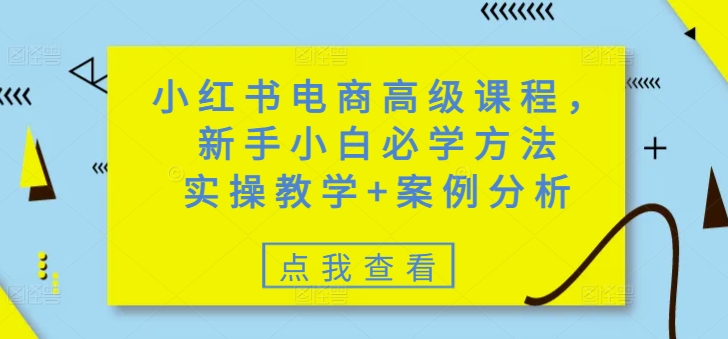 小红书电商高级课程，新手小白必学方法，实操教学+案例分析-瀚宇网创