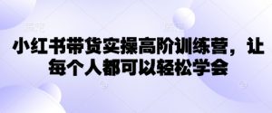 小红书带货实操高阶训练营,让每个人都可以轻松学会-瀚宇网创