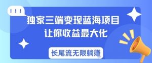 独家三端变现蓝海项目，让你收益最大化，长尾流无限躺挣-瀚宇网创