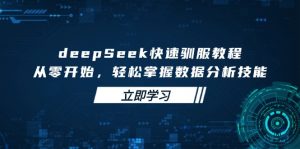 deepSeek快速驯服教程，从零开始，轻松掌握数据分析技能-瀚宇网创