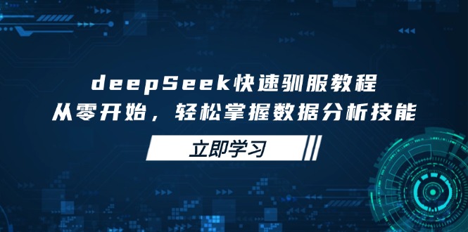 deepSeek快速驯服教程，从零开始，轻松掌握数据分析技能-瀚宇网创