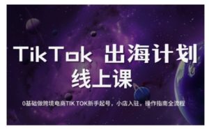 TikTok跨境电商新手起号与运营全攻略,0基础做跨境电商TIKTOK新手起号,小店入驻,操作指南全流程-瀚宇网创
