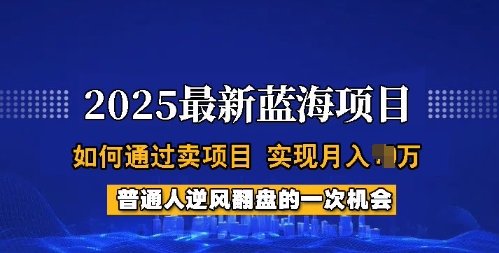 2025蓝海项目,普通人如何通过卖项目,实现月入过W,全过程【揭秘】-瀚宇网创