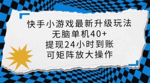 快手小游戏最新版升级玩法，新风口，无脑单机日入40+，可批量放大，小...-瀚宇网创
