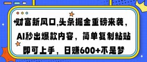 财富新风口,头条掘金重磅来袭AI秒出爆款内容简单复制粘贴即可上手，日...-瀚宇网创