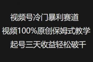 视频号冷门暴利赛道视频100%原创保姆式教学起号三天收益轻松破千-瀚宇网创