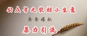 deepseek写农村小项目，条条爆款，暴力引流-瀚宇网创