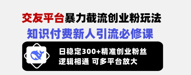 交友平台暴力截流创业粉玩法,知识付费新人引流必修课,日稳定300+精准创业粉丝,逻辑相通可多平台放大-瀚宇网创