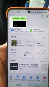 抖音暴力涨粉技术：一天轻松1-10万粉，技术不确定真实性，自测-瀚宇网创