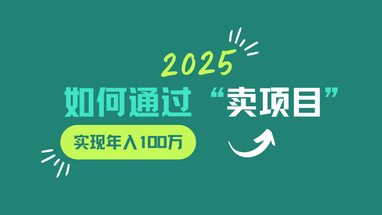 2025年如何通过“卖项目”实现年入100w-瀚宇网创
