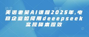 天诺老吴AI课程2025年,电商企业如何用deeepseek实现降本提效-瀚宇网创