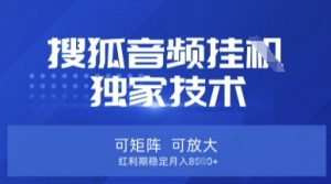 【搜狐音频挂G】独家技术，可矩阵可放大，红利期稳定月入8k【揭秘】-瀚宇网创