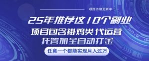 25年推荐这10个副业项目包含褂鸡类、代运营托管类、全自动打金类【揭秘】-瀚宇网创