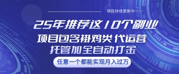 25年推荐这10个副业项目包含褂鸡类、代运营托管类、全自动打金类【揭秘】-瀚宇网创