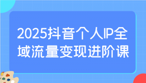 2025抖音个人IP全域流量变现进阶课：选爆品、抖音付费投流、千川投流实操及优化等-瀚宇网创