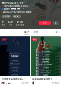 小红书治愈文案图文笔记，零门槛，一分钟制作轻松制作爆款作品月入万元-瀚宇网创