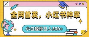 小红书种草，手机项目，日入3张，复制黏贴即可，可矩阵操作，动手不动脑【揭秘】-瀚宇网创