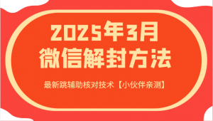2025年3月微信解封方法 最新跳辅助核对技术【小伙伴亲测】-瀚宇网创